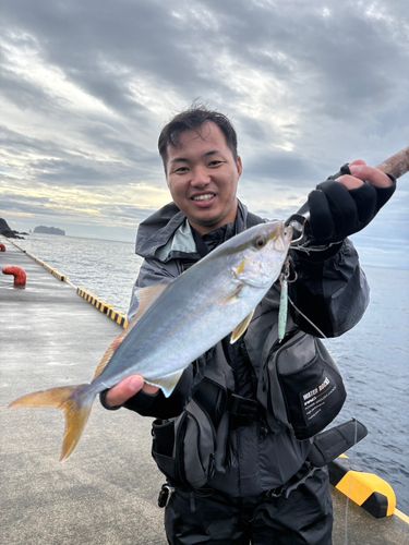 ショゴの釣果