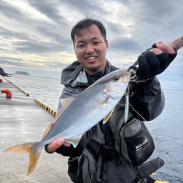 ショゴ