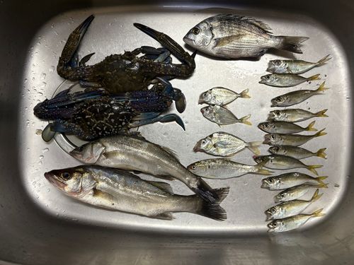 小浜港（福井）