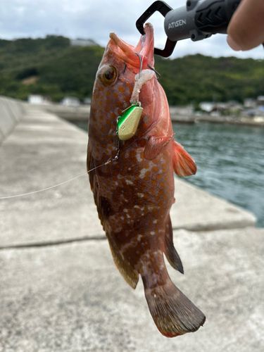 大室港