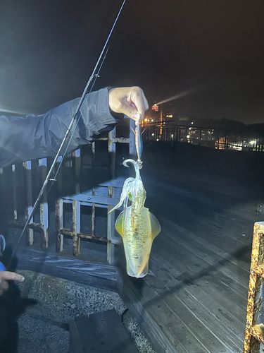 江ノ島
