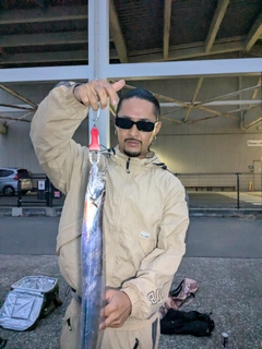 タチウオの釣果