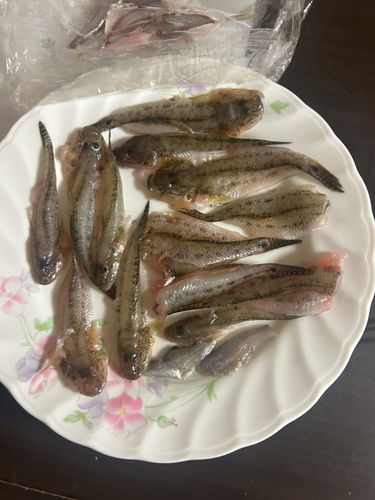 常滑りんくう釣り護岸