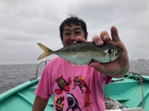 東京湾