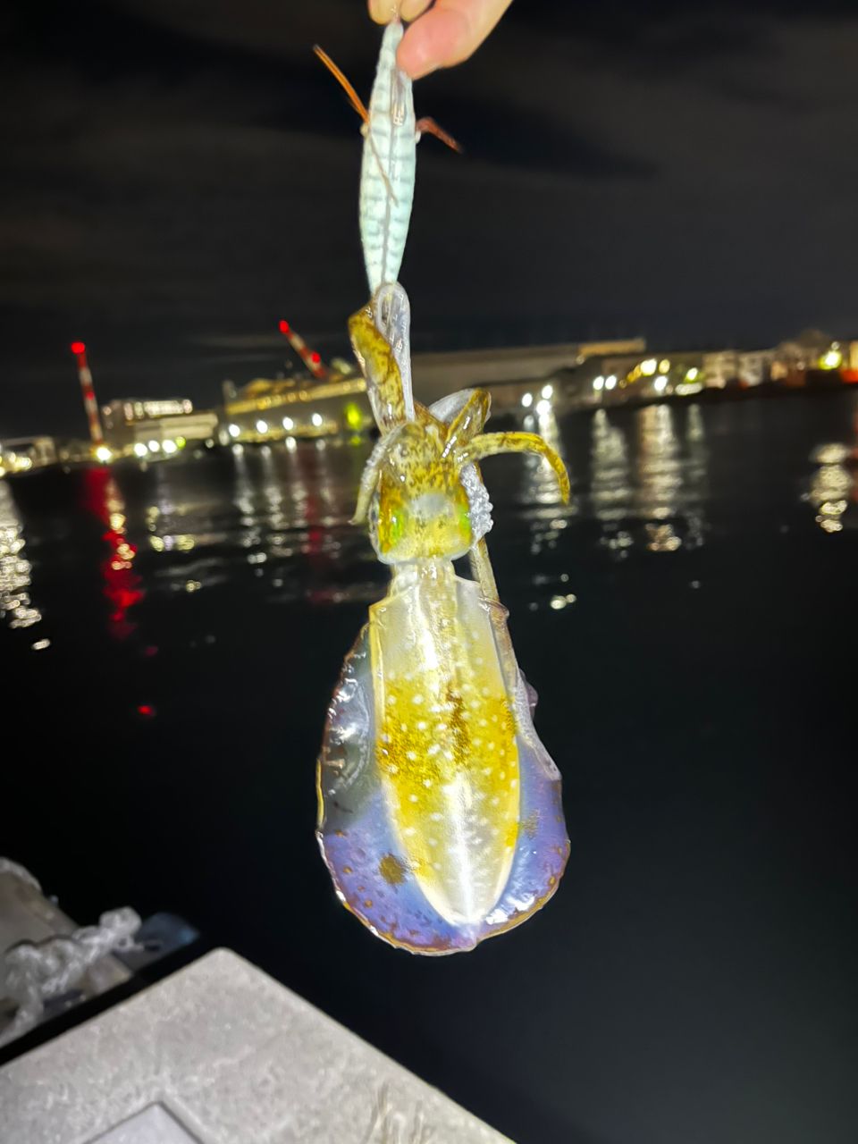 MajorCraft 「三代目」クロステージ パックロッド CRX-864Eの最安値