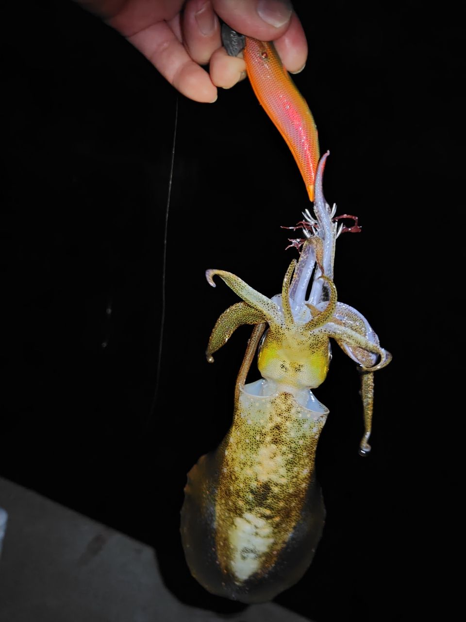 TENRYU ブリゲイド フリップ BGF852S-Mの最安値・インプレ・釣果