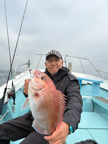 タイの釣果
