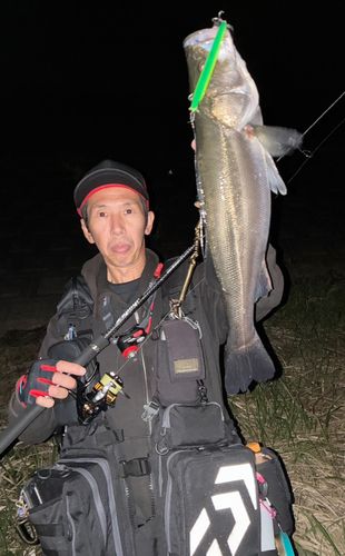利根川下流
