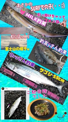 アナゴの釣果
