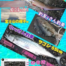 アナゴ