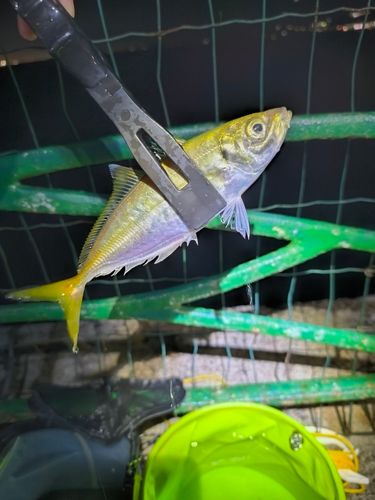 海辺つり公園