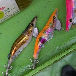シロサバフグ