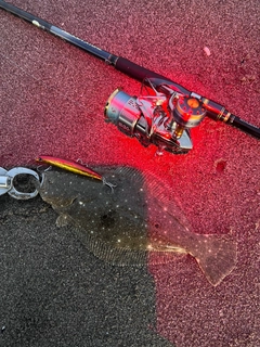 ソゲの釣果