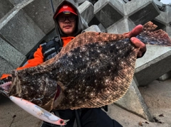 ヒラメの釣果