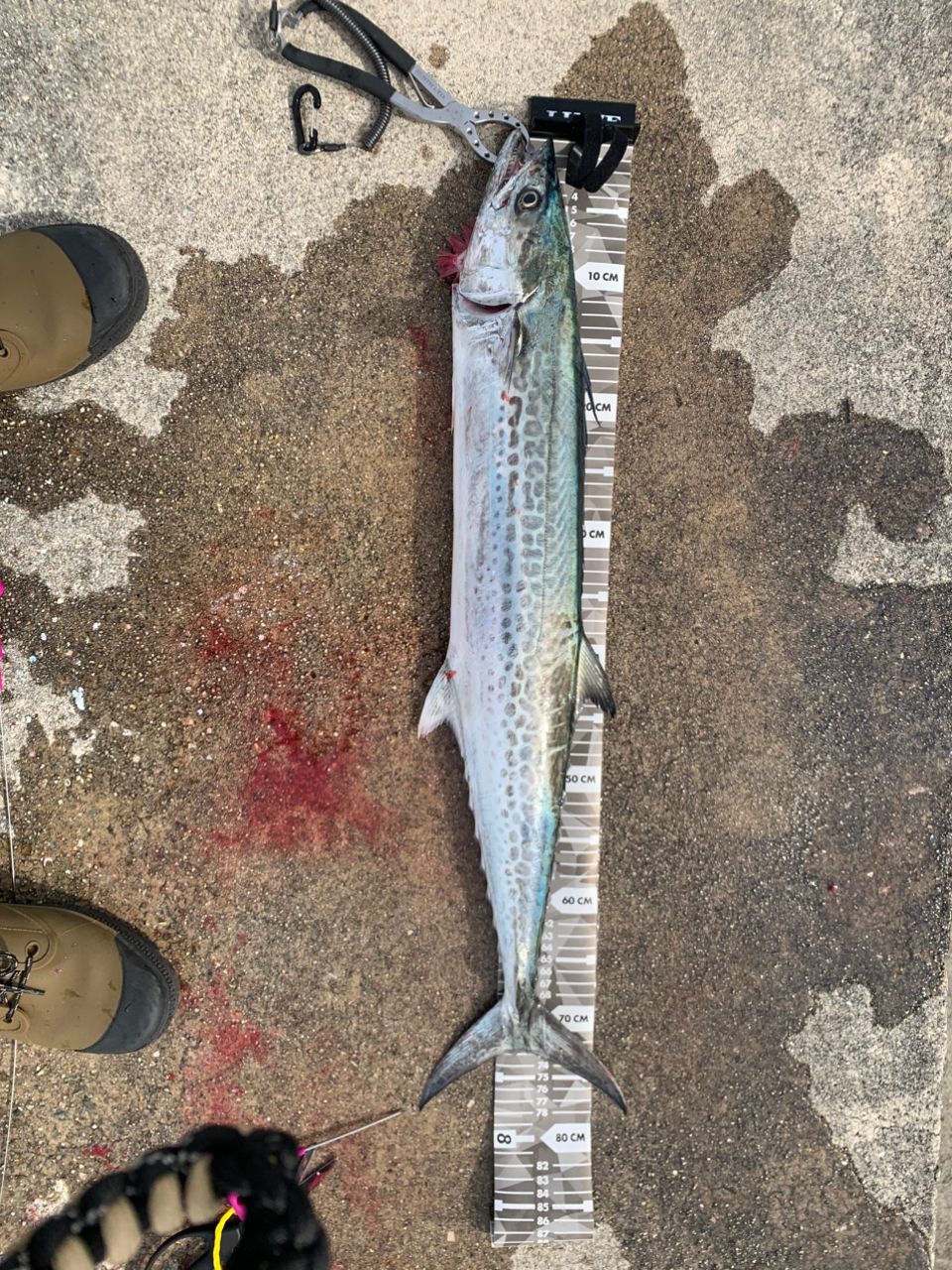 MajorCraft クロスライド 5G XR5-1002Mの最安値・インプレ・釣果