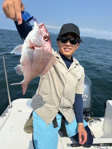 マダイの釣果