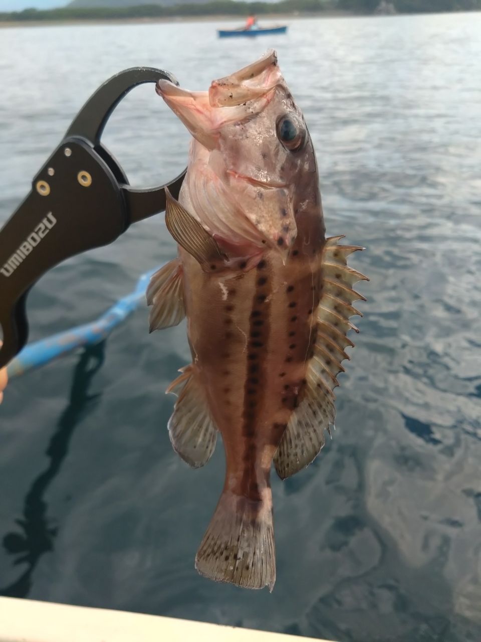 山男さんの釣果 1枚目の画像