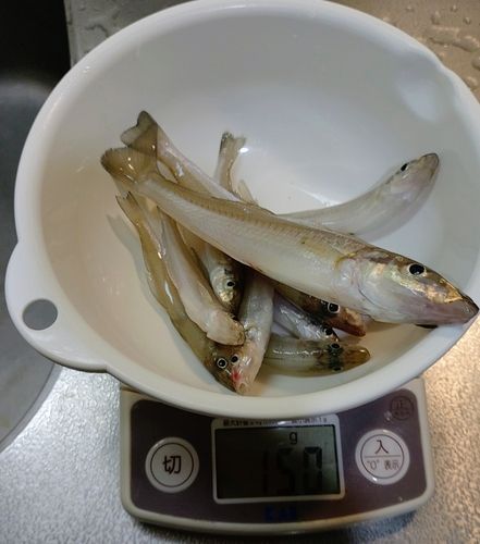 今津湾