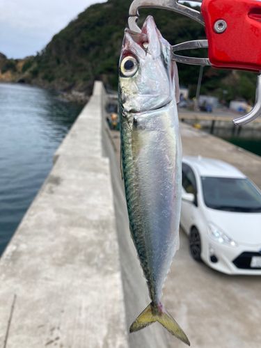 石巻湾
