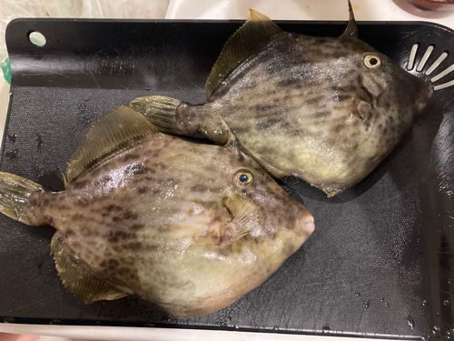 海辺つり公園