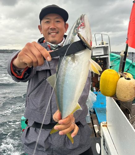 アコウの釣果