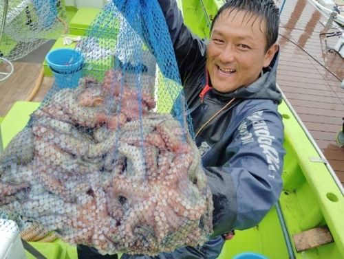 マダコの釣果