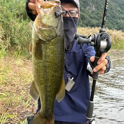 ブラックバス