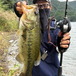 ブラックバス