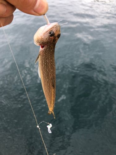 長崎湾