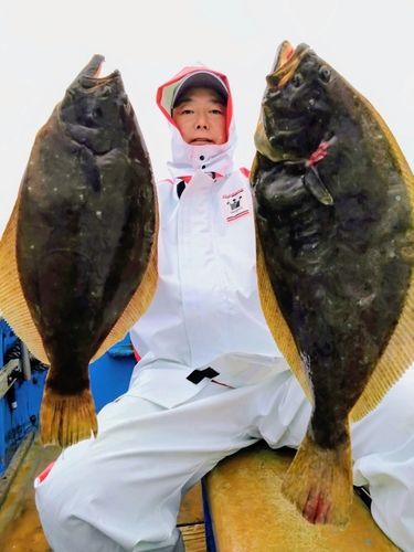 ヒラメの釣果