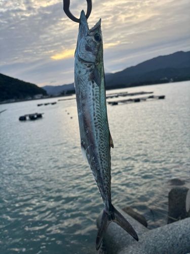 深江漁港