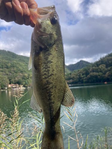山梨県南部