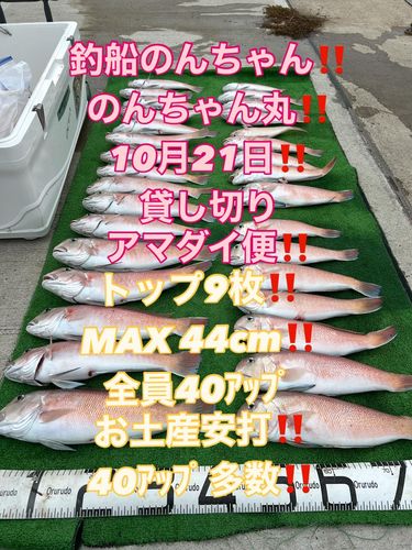 シロアマダイの釣果