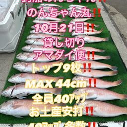 シロアマダイ