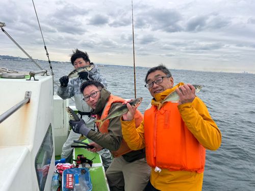 マアジの釣果
