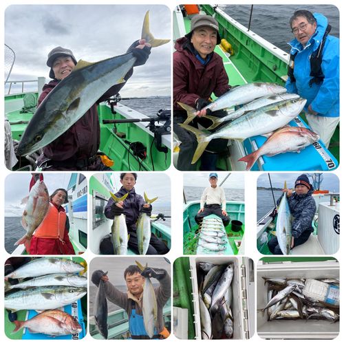 ワラサの釣果