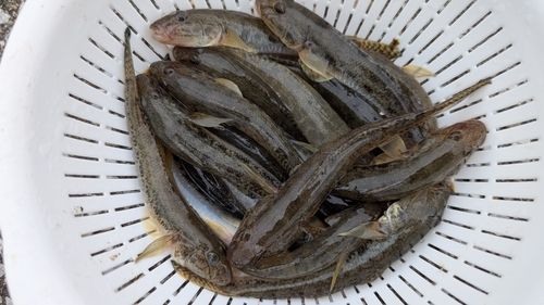 三河湾