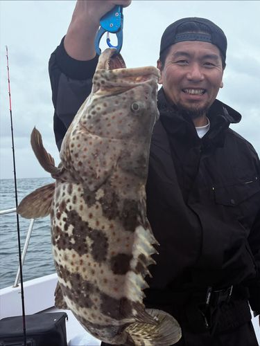クエの釣果