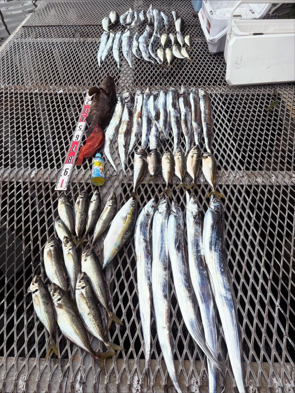 たけちゃんまる　船長さんの釣果 2枚目の画像