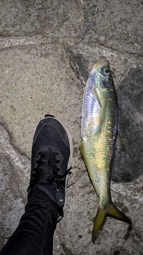 三角西港