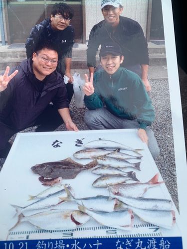 シオの釣果