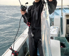 タチウオの釣果