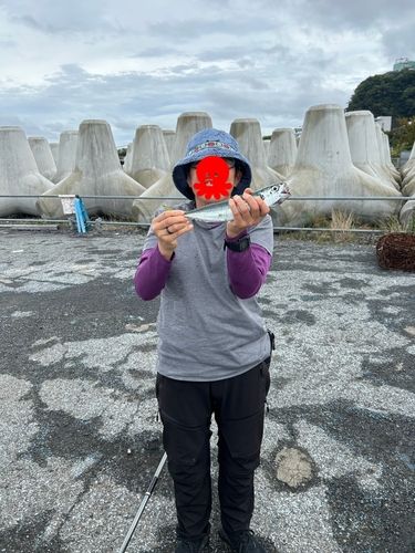 熱海港