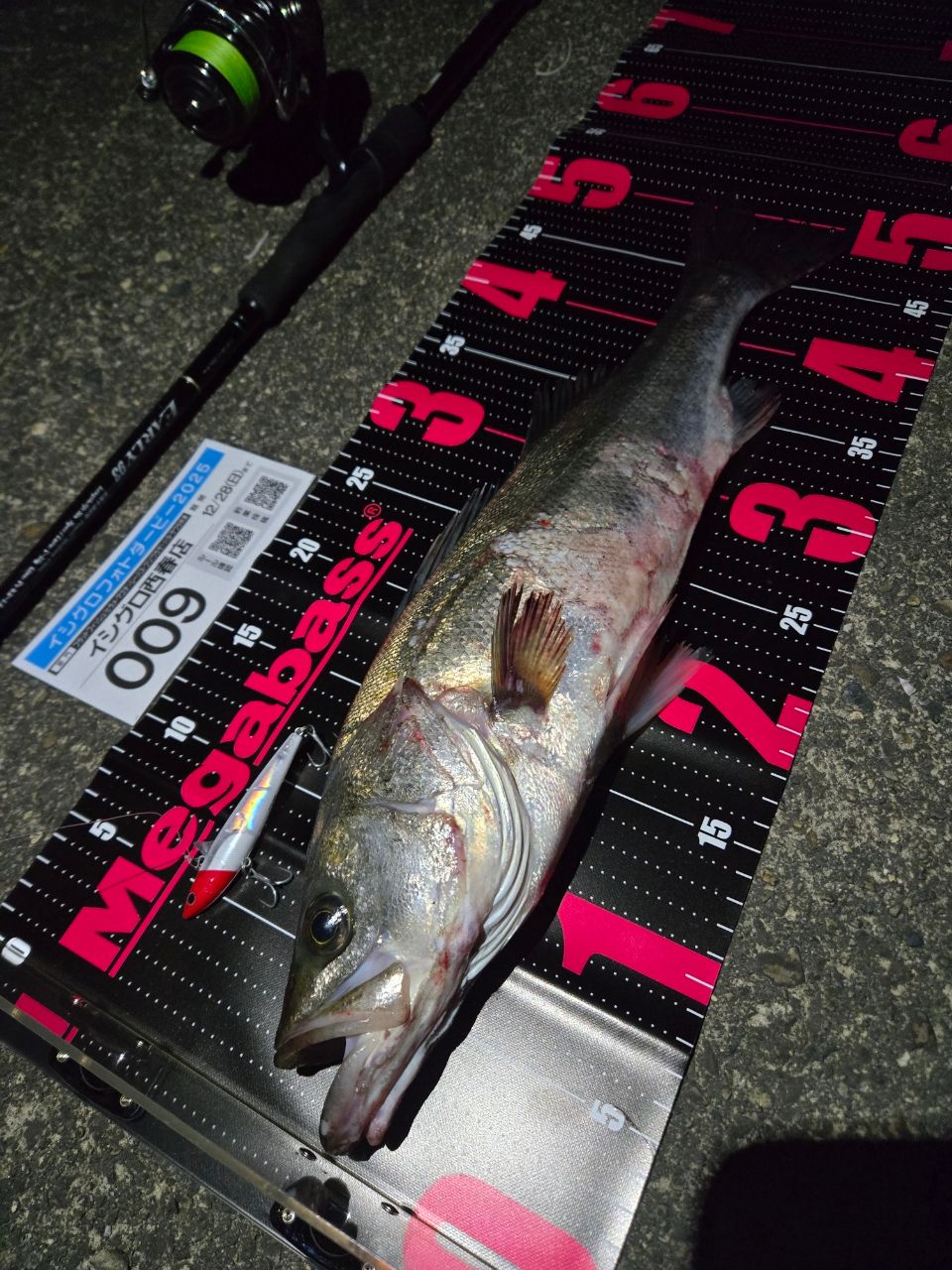 YAMAGA Blanks アーリー・フォーシーバス 93Mの最安値・インプレ・釣果