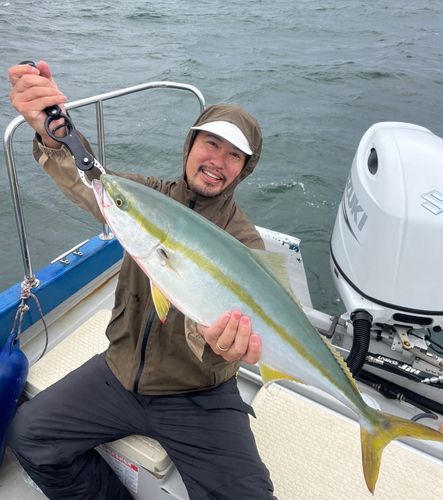 ワラサの釣果