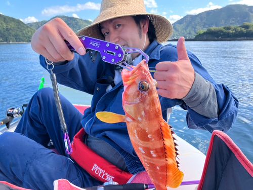 アカハタの釣果