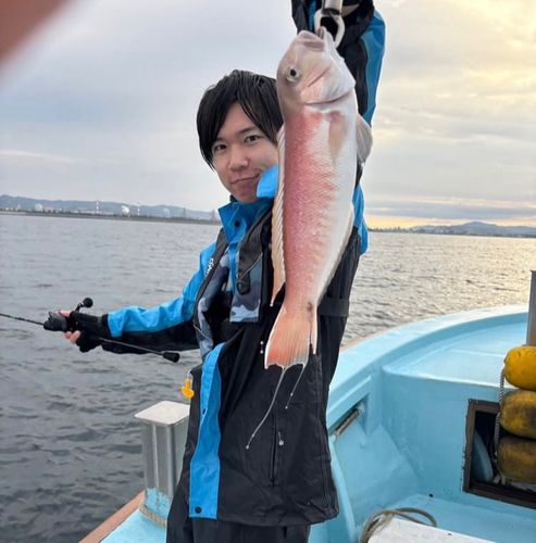 シロアマダイの釣果