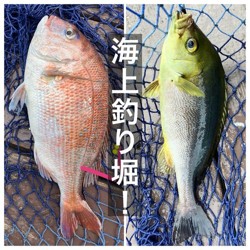 三方湖
