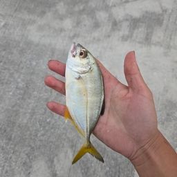 メッキ
