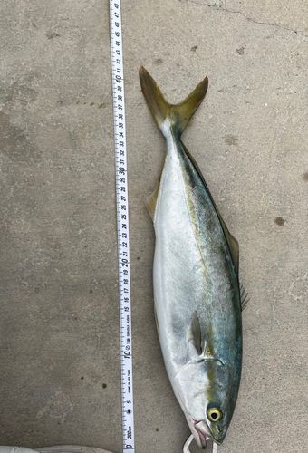 松ヶ浜漁港